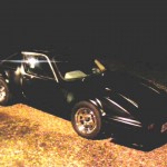 I 131 (Picture 2)
